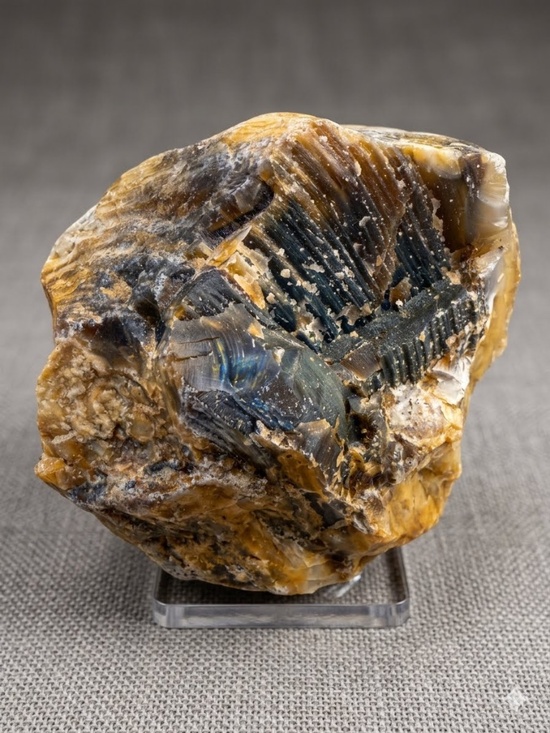 Other - Where Is This From? Big Specimen of Petrified Wood
